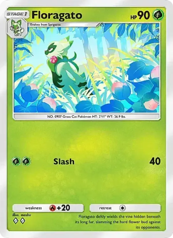 Floragato