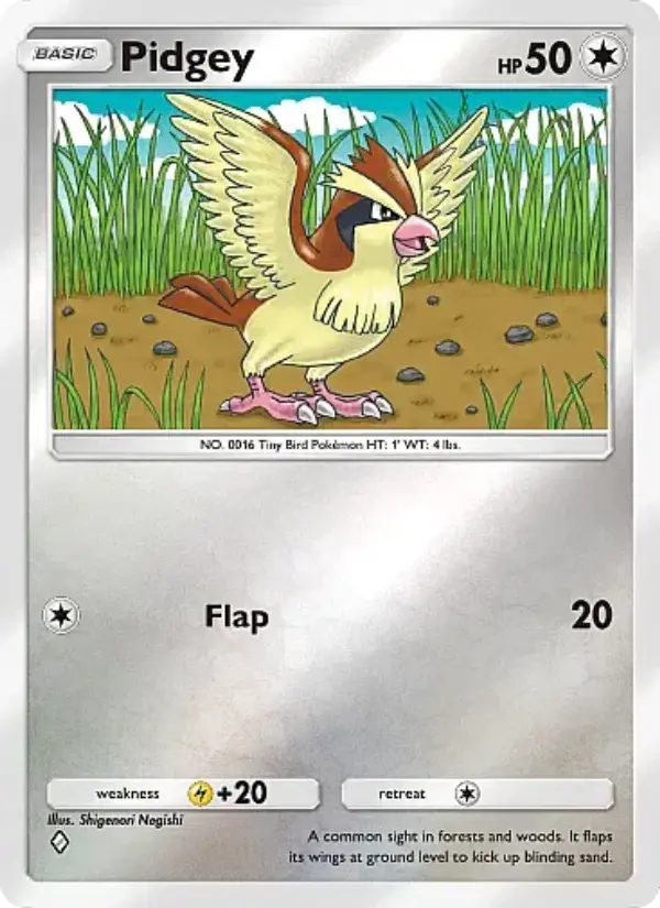 Pidgey